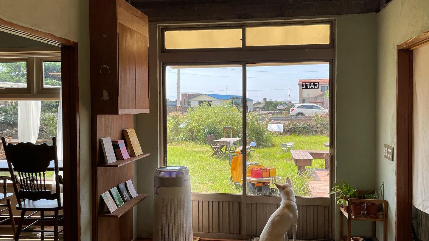 🐒 다양한 것이 살아남는다