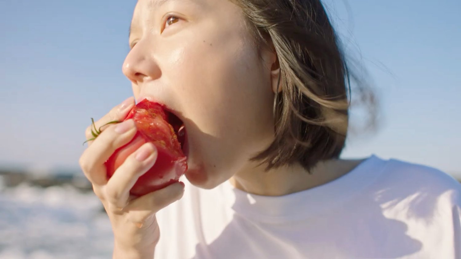 희망을 팔고 있습니다✨️