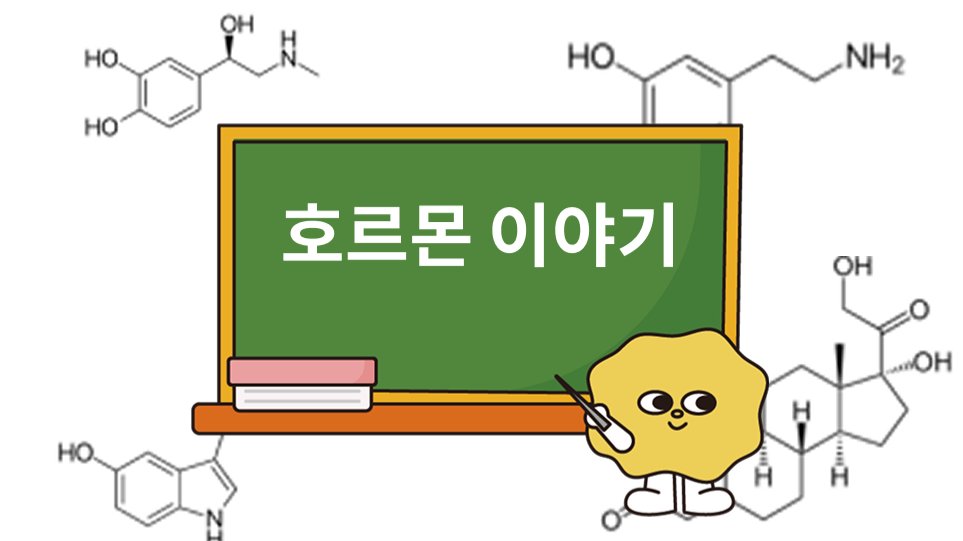 감정, 생각, 행동 변화에 중요한 호르몬 3가지 알아볼래요?
