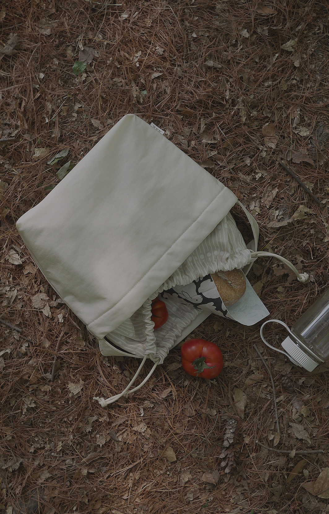 가을 피크닉에 챙겨가면 좋을 아이템 추천 🍁🧺