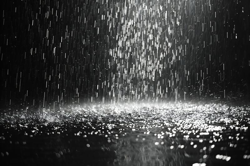 주말 날씨 전망: 전국에 천둥번개 동반한 비, 최악의 가뭄 겪고 있는 강릉에도 단비 소식 ☔