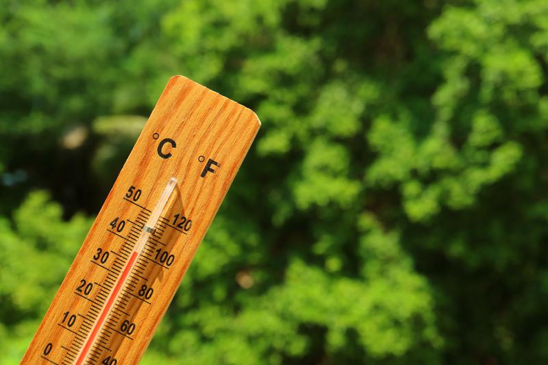폭염 전망: 한반도 덮은 '이중 고기압', 찜통더위 언제 끝날지 모른다고? 🌡️