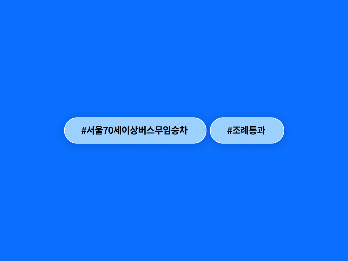 서울시, 70세 이상 어르신 버스 무임승차 지원 조례 통과했어요. 🚌
