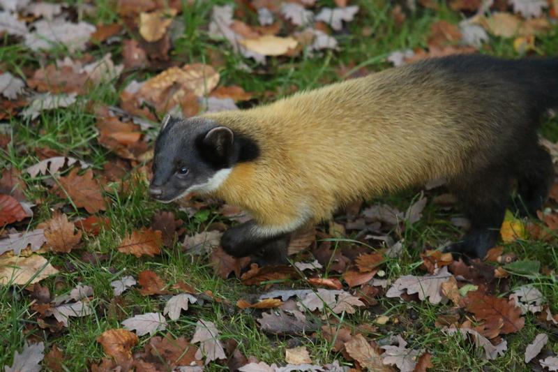 산불이 지나간 경북 의성 고운사 숲에 일어난 놀라운 일 🌬️🍃
