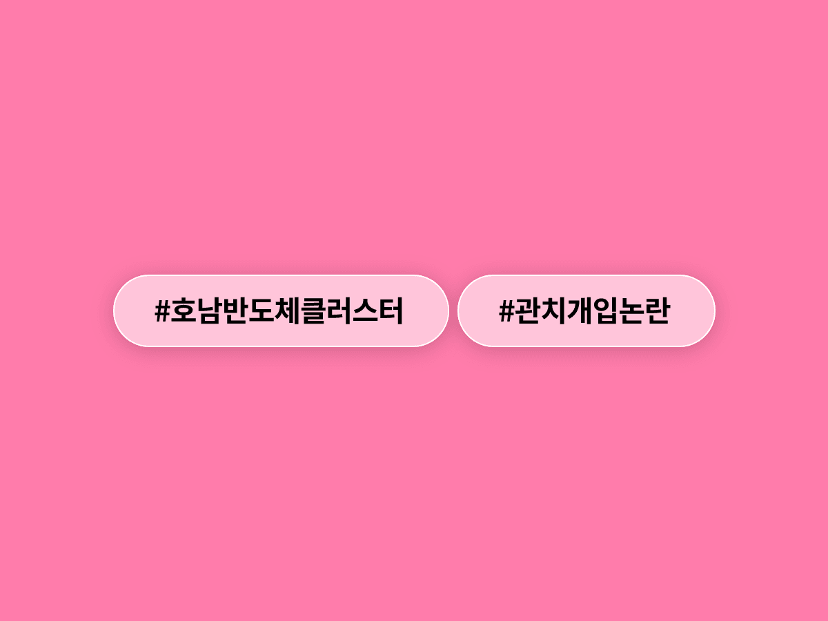 국민의힘이 호남 반도체 클러스터를 두고 "정부 관치 개입"이라며 국정조사를 촉구했어요. 🏭