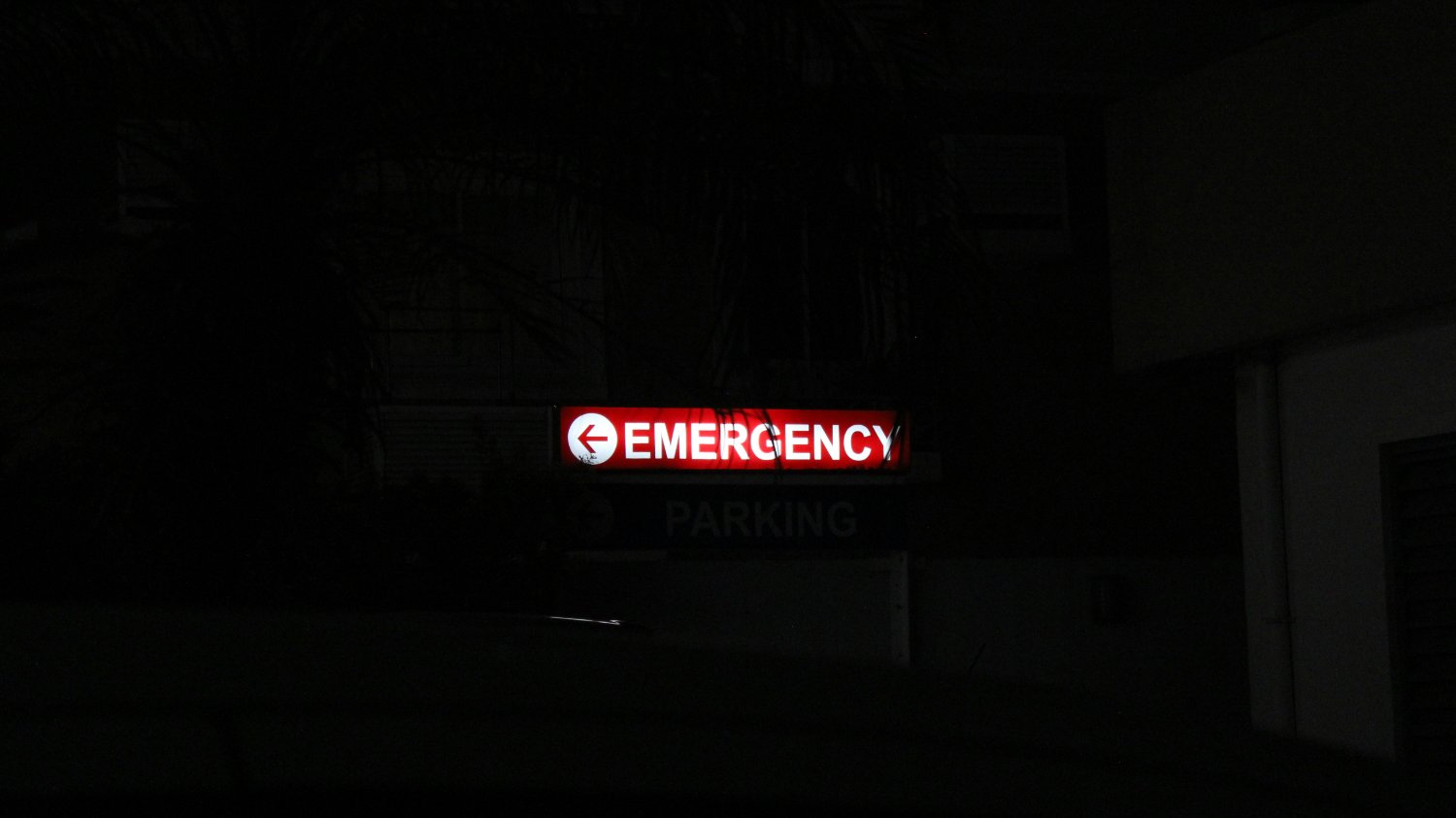 절망스러운 다정함