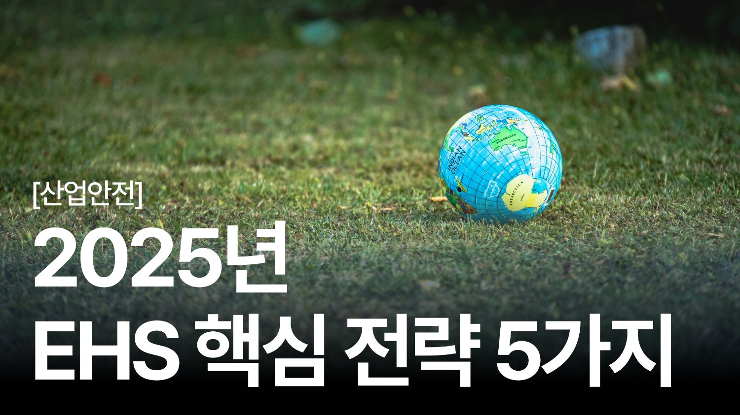 🌱2025년 트렌드는 EHS? 모든 기업이 주목해야 할 포인트 5가지