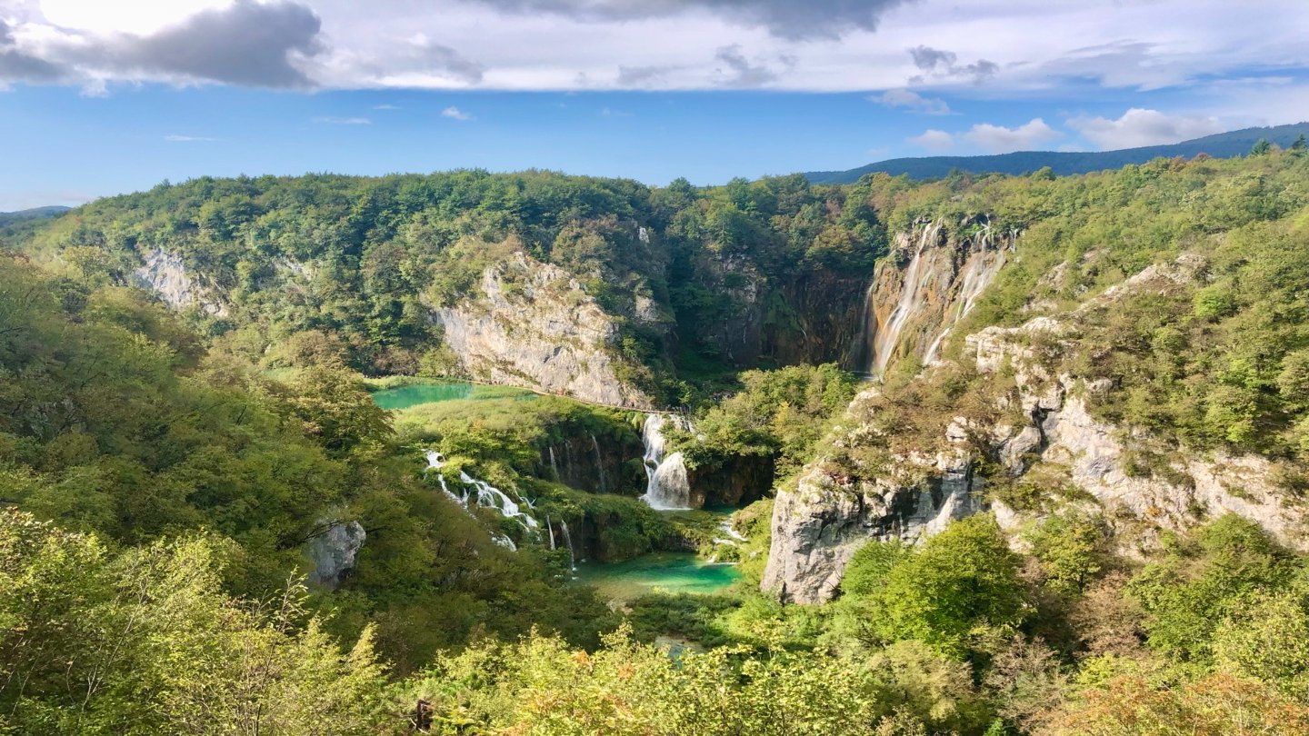 ๐๏ธ์ํ ์๋ฐํ์ ๋ฐฐ๊ฒฝ์ง, ํ๋ฆฌํธ๋น์ฒด