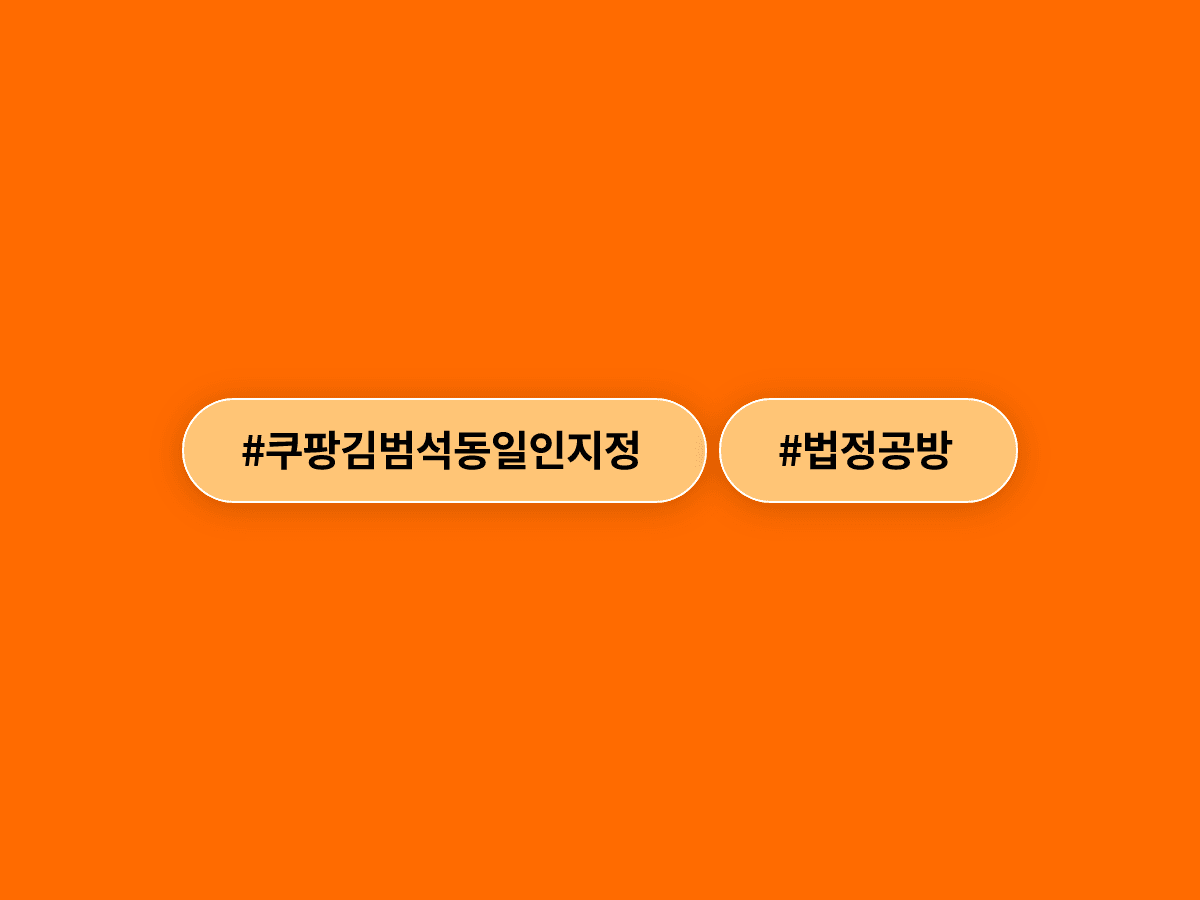 쿠팡 창업주 김범석 씨를 총수로 지정한 공정위 처분 놓고 쿠팡과 공정위가 법정에서 맞붙었어요. ⚖️