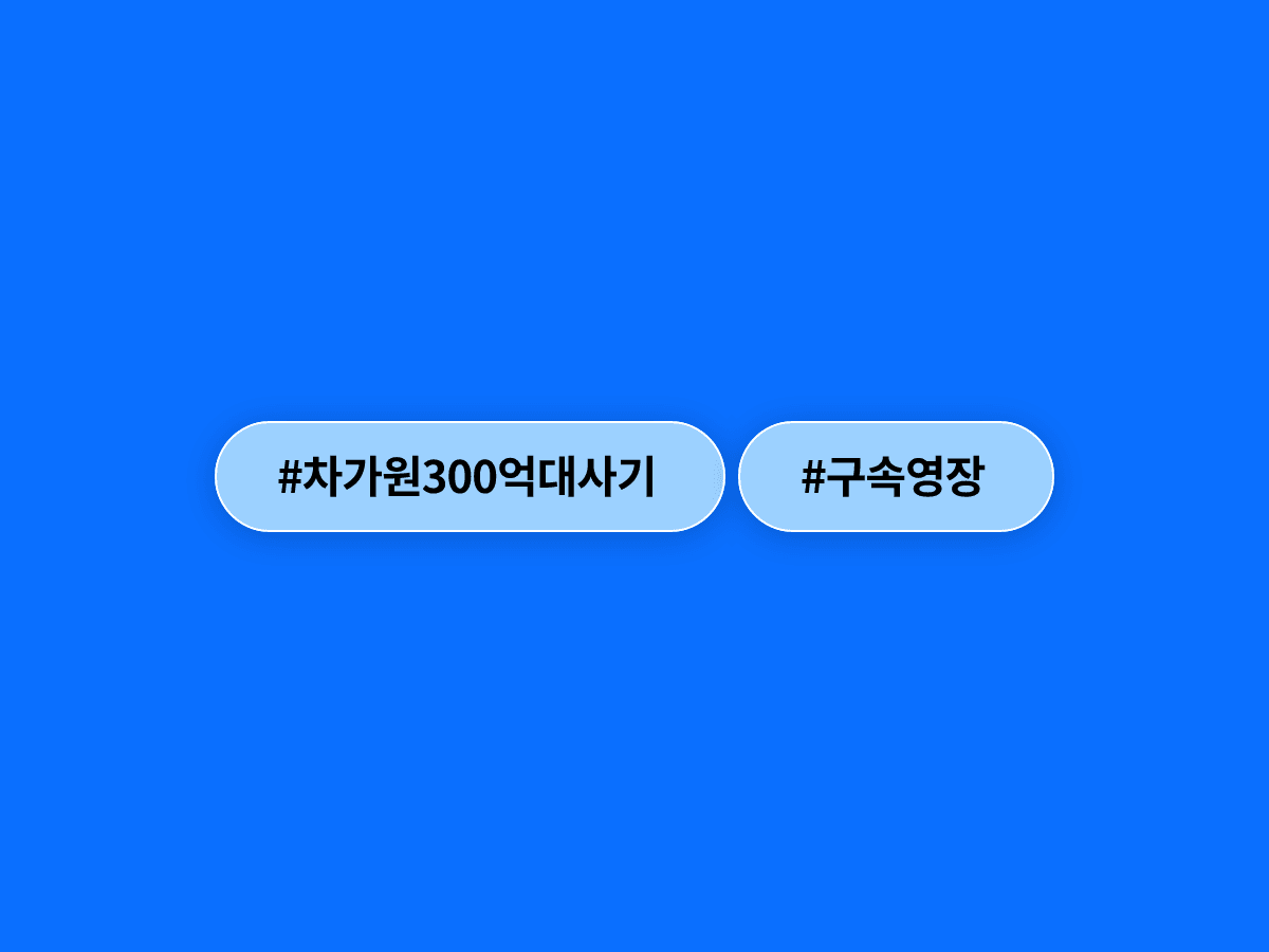 경찰이 300억원대 사기 혐의를 받는 차가원 원헌드레드 대표에 대해 구속영장을 신청했어요. 🚨