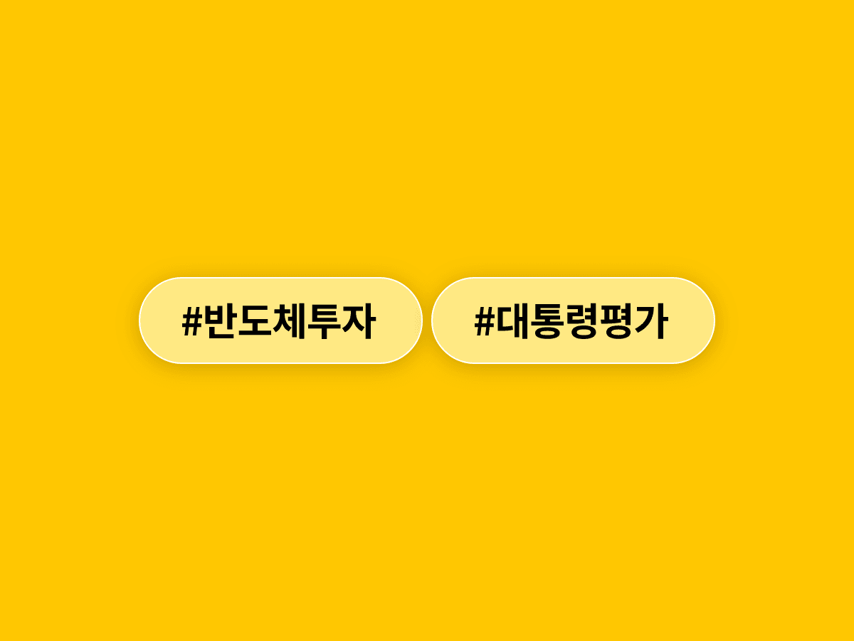 이재명 대통령이 이재용·최태원 회장을 '국가영웅·국민영웅'으로 칭하며 반도체 투자를 극찬했어요. 🤝