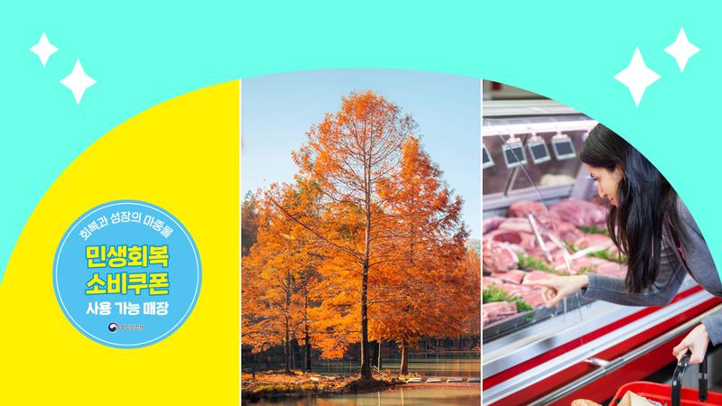 오늘부터 2차 민생회복 소비쿠폰 시작, 지급 대상과 신청 방법은?