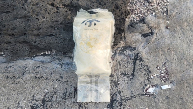 제주 해안에서 발견된 정체불명의 마약 봉지, 한국이 세계적인 ‘마약 환승역’이 됐다고? 💊