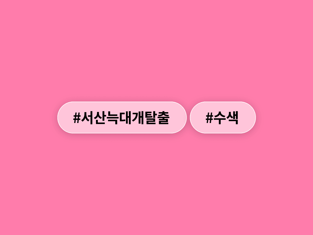 충남 서산 농장에서 탈출한 늑대개 네 마리 중 한 마리가 스스로 돌아왔어요. 🐺