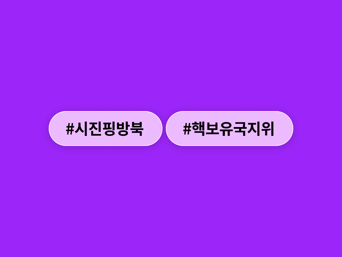 김여정, 시진핑 방북 하루 앞두고 "핵보유국 지위는 절대 불퇴의 한계선"이라고? ☢️🇰🇵