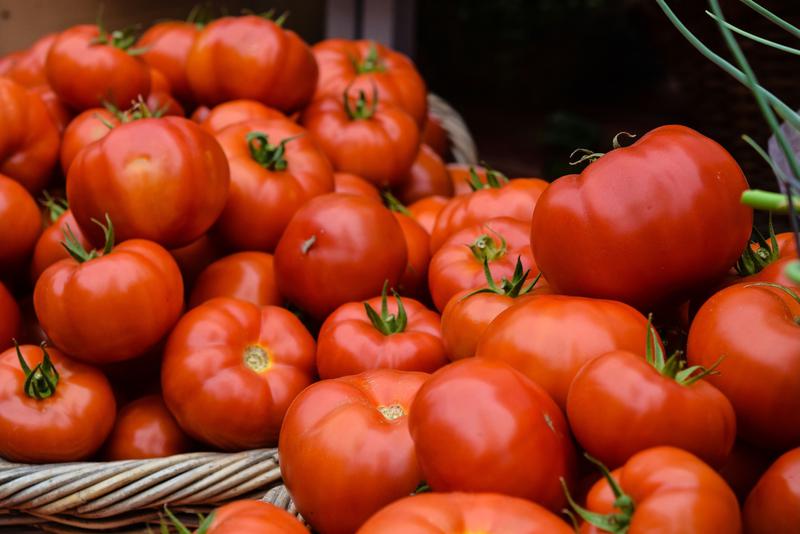 멕시코산 토마토, 우리나라에 수입될 수 있다고? 미국·멕시코 관세 전쟁의 나비효과 🍅
