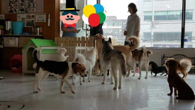 작은 실험들이 만드는 큰 변화