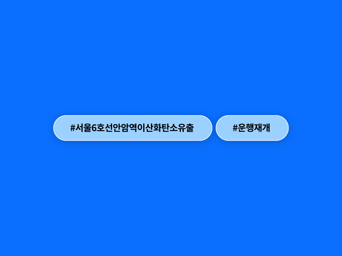 서울 지하철 6호선 안암역 소방 점검 중 이산화탄소가 유출됐어요. 인명 피해는 없었어요.
