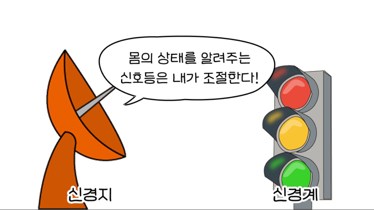 📡 안전한데 왜 불안할까? 내 몸의 레이더 이야기