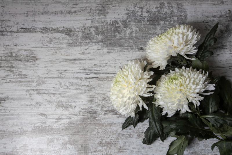 ‘죽고 싶지만 떡볶이는 먹고 싶어’ 백세희 작가 별세, 쏟아지는 전 세계의 추모 물결 🎗️