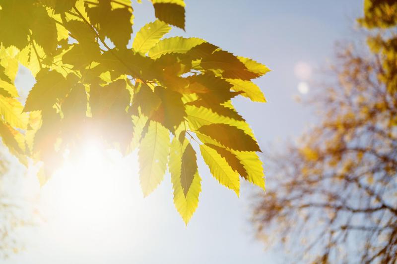 ‘역대 최장’ 46일간 지속된 폭염 위기경보 끝, 중대본 비상근무 해제 발표 ☀️