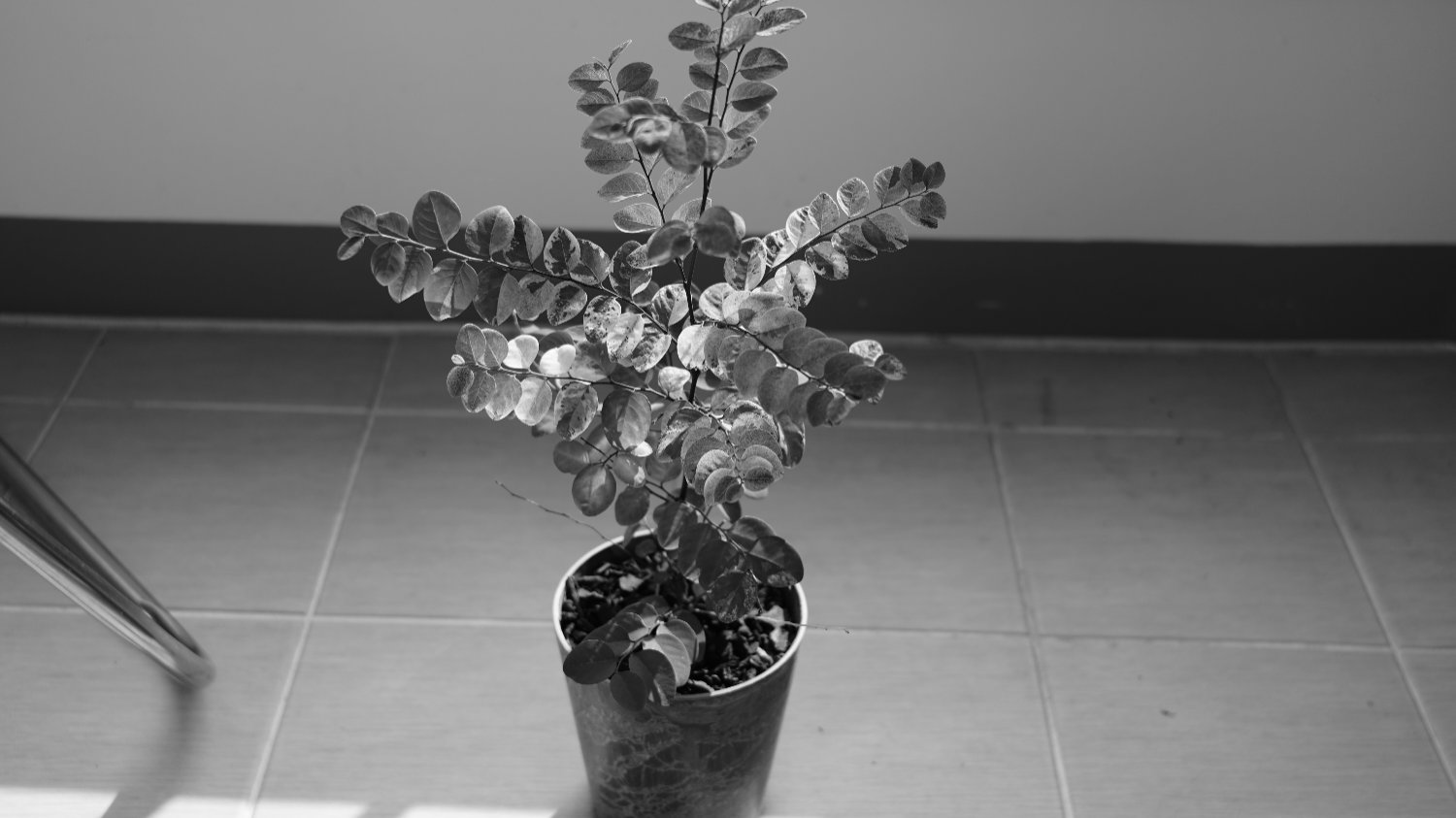 마냥 모든 게 좋고 싶진 않아