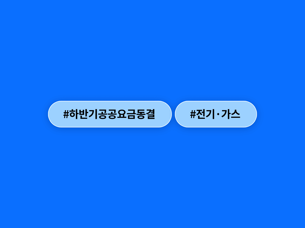 구윤철 부총리가 하반기 전기·가스 요금 등 주요 공공요금을 동결하겠다고 밝혔어요. 💡