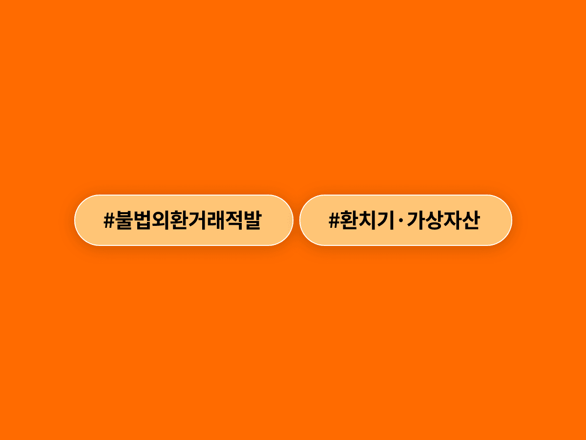 정부가 고환율 틈탄 불법 외환거래 4154억원을 적발하고 단속을 상시화하기로 했어요. 🔍