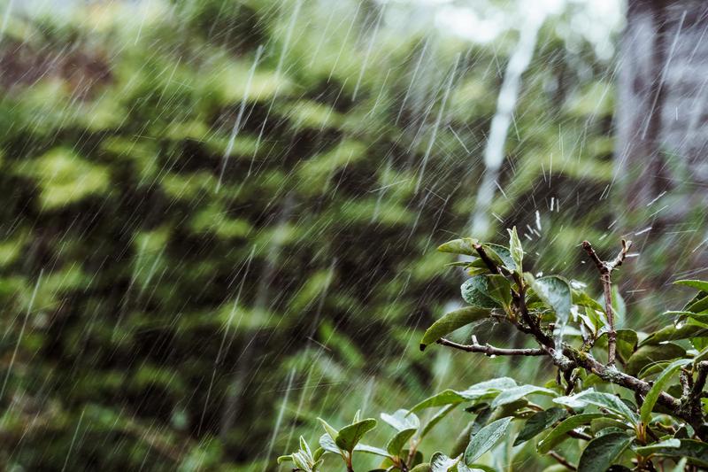 주말 날씨: 토요일에 비 오고 일요일에는 가을 날씨 찾아온다고? ☔🍂
