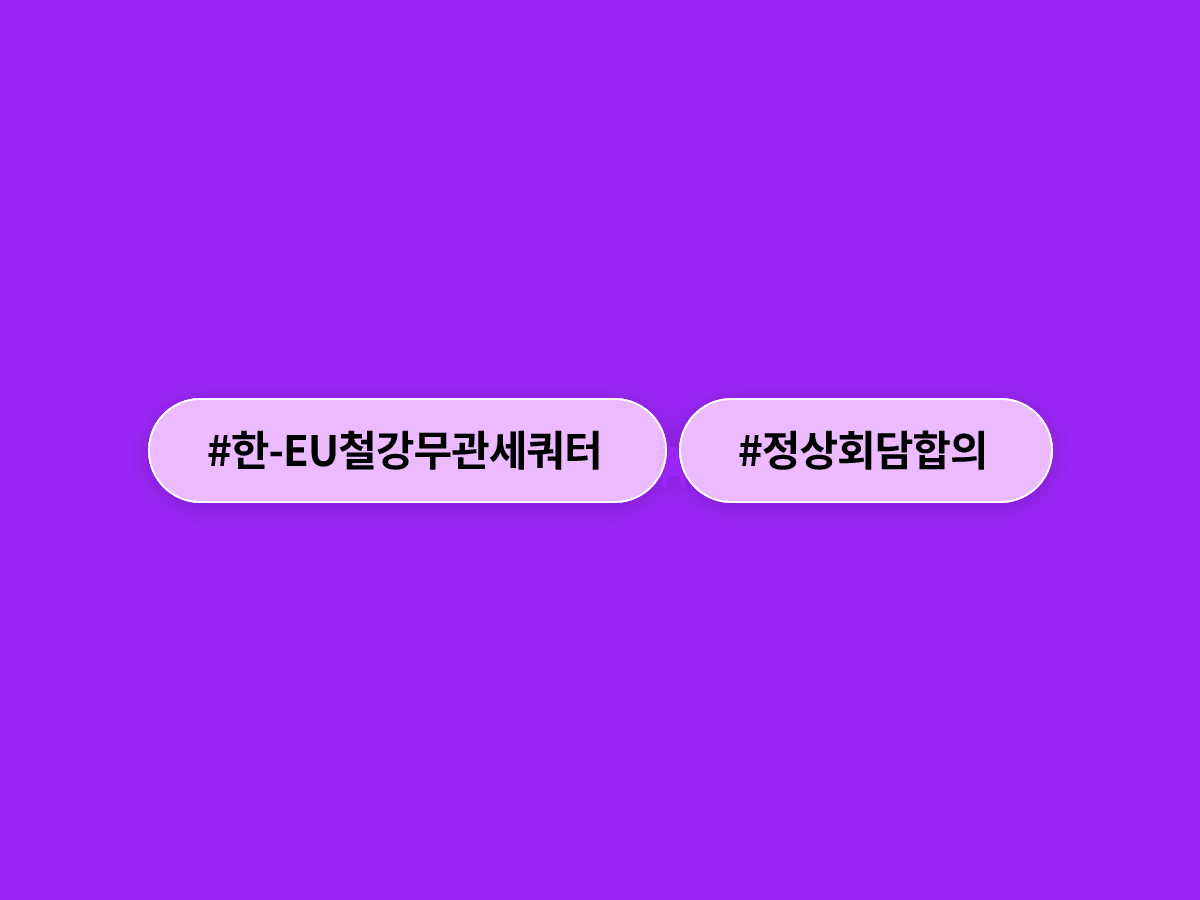 한-EU 정상회담에서 한국산 철강 무관세 쿼터 최대 확보에 잠정 합의했어요. 🇰🇷🤝🇪🇺