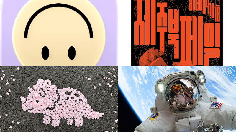 제주북페어 탈락자들의 축제, '제주북페일' 📚 [이 주의 트렌드 ❤️‍🔥]