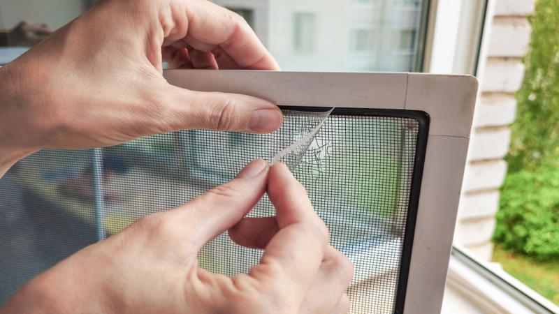 집에 벌레 슬슬 보이나요? 초여름 오기 전에 끝내는 방충망·창문 틈·배수구 셀프 점검법 🪟🚫