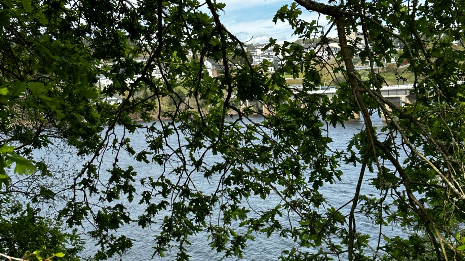 🌏 여행을 통해 나랑 친해지는 방법 : 8가지 테마 24가지 질문