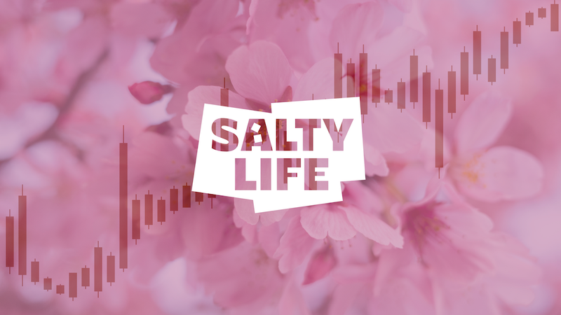 3월 배당주 추천 TOP 3: ‘벚꽃 배당’ 시즌 투자 전략부터 ‘배당락’ 주의사항 총정리 🌸