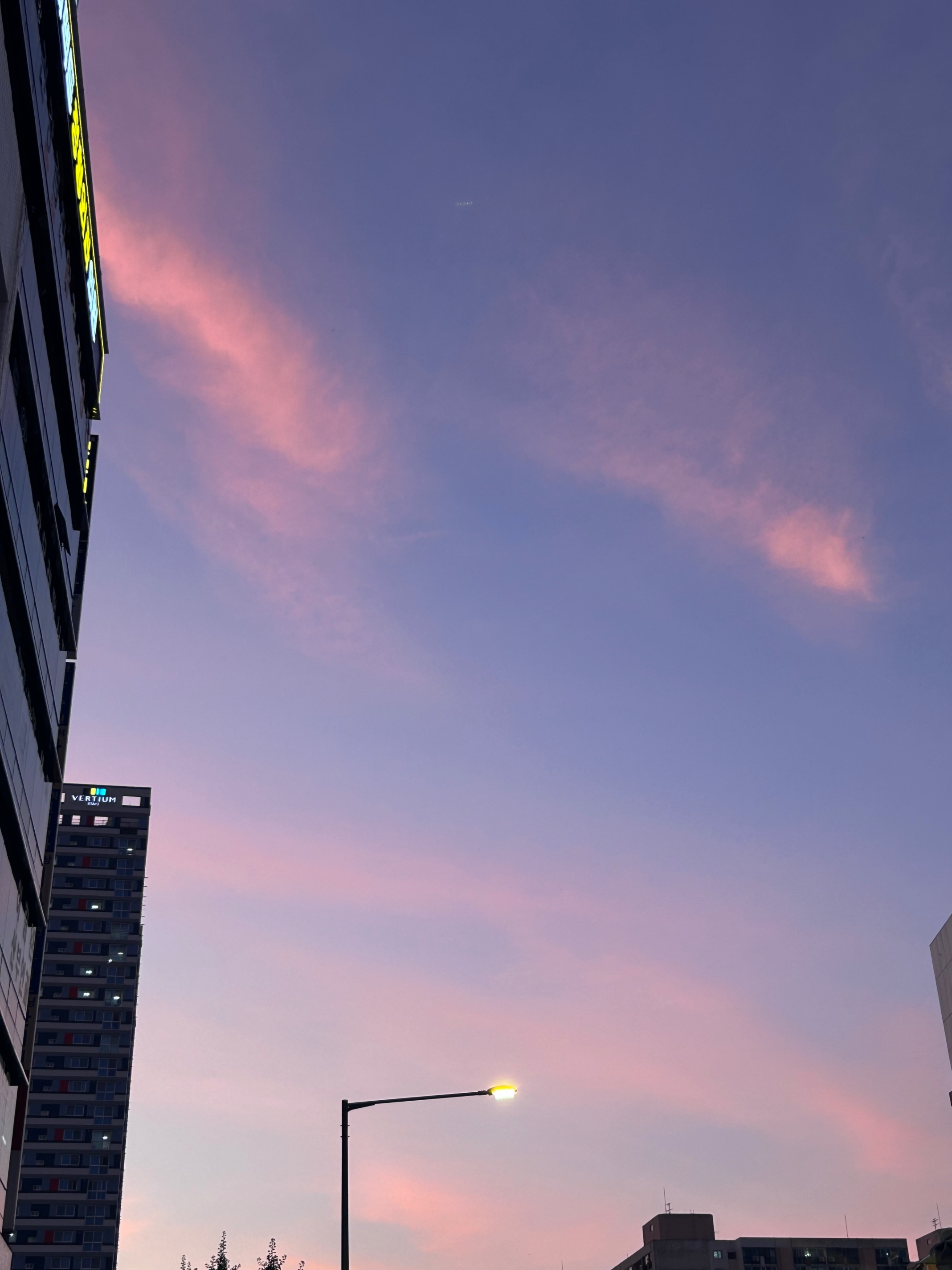 ๐ซ ํ์ค์๋ ๋๋ก๋ ํํ์ง๊ฐ ํ์ํด