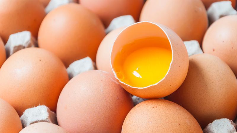 수입 계란 공급 확대: 정부가 미국·태국산 계란 2112만 개를 더 들여와요 🥚