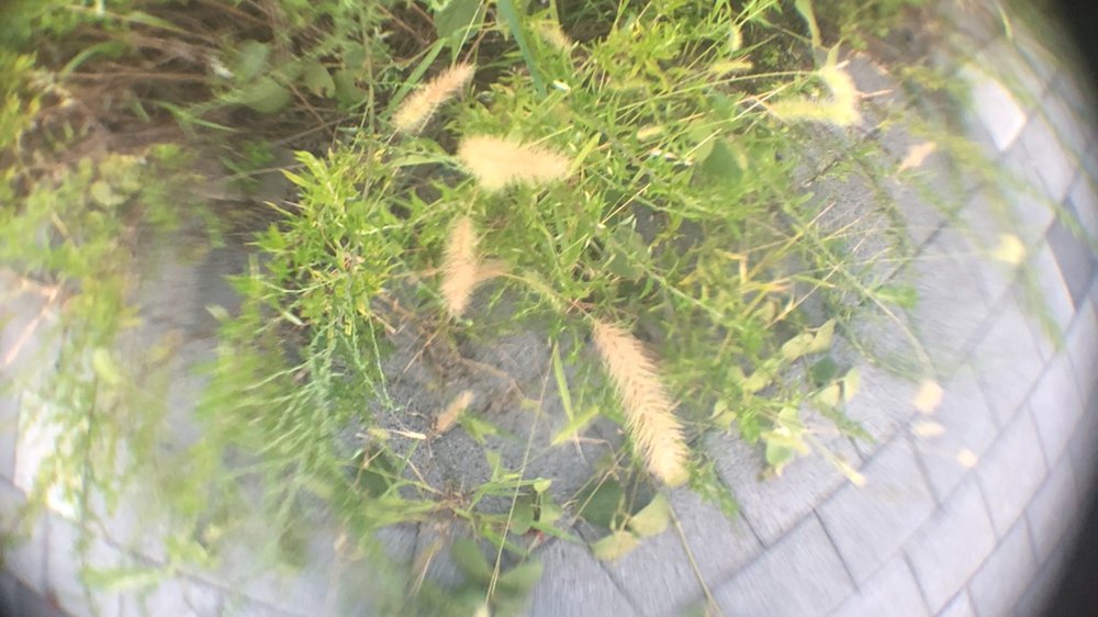 절반만 웃어도,