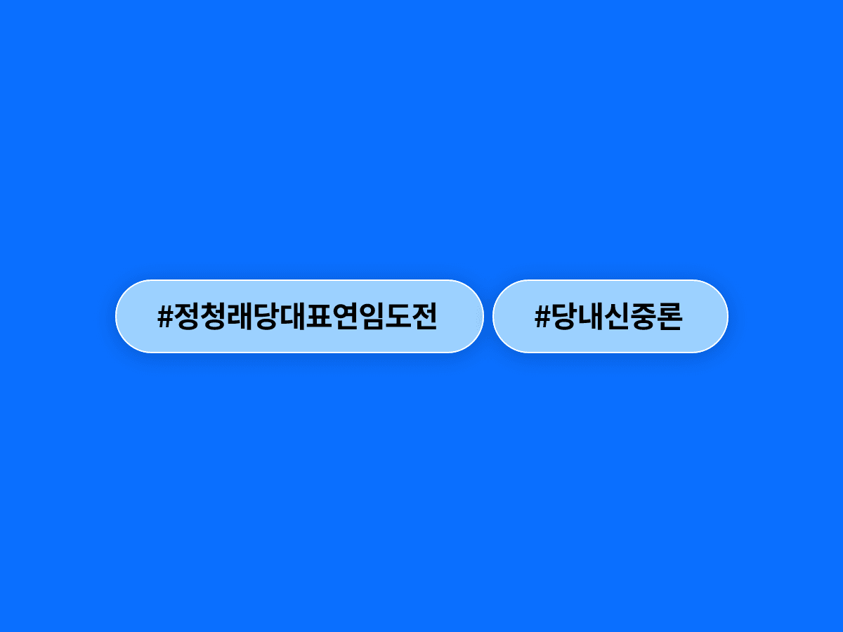 더불어민주당 박지원·김남희 의원이 정청래 대표 연임 도전에 신중론을 냈어요. 🗳️