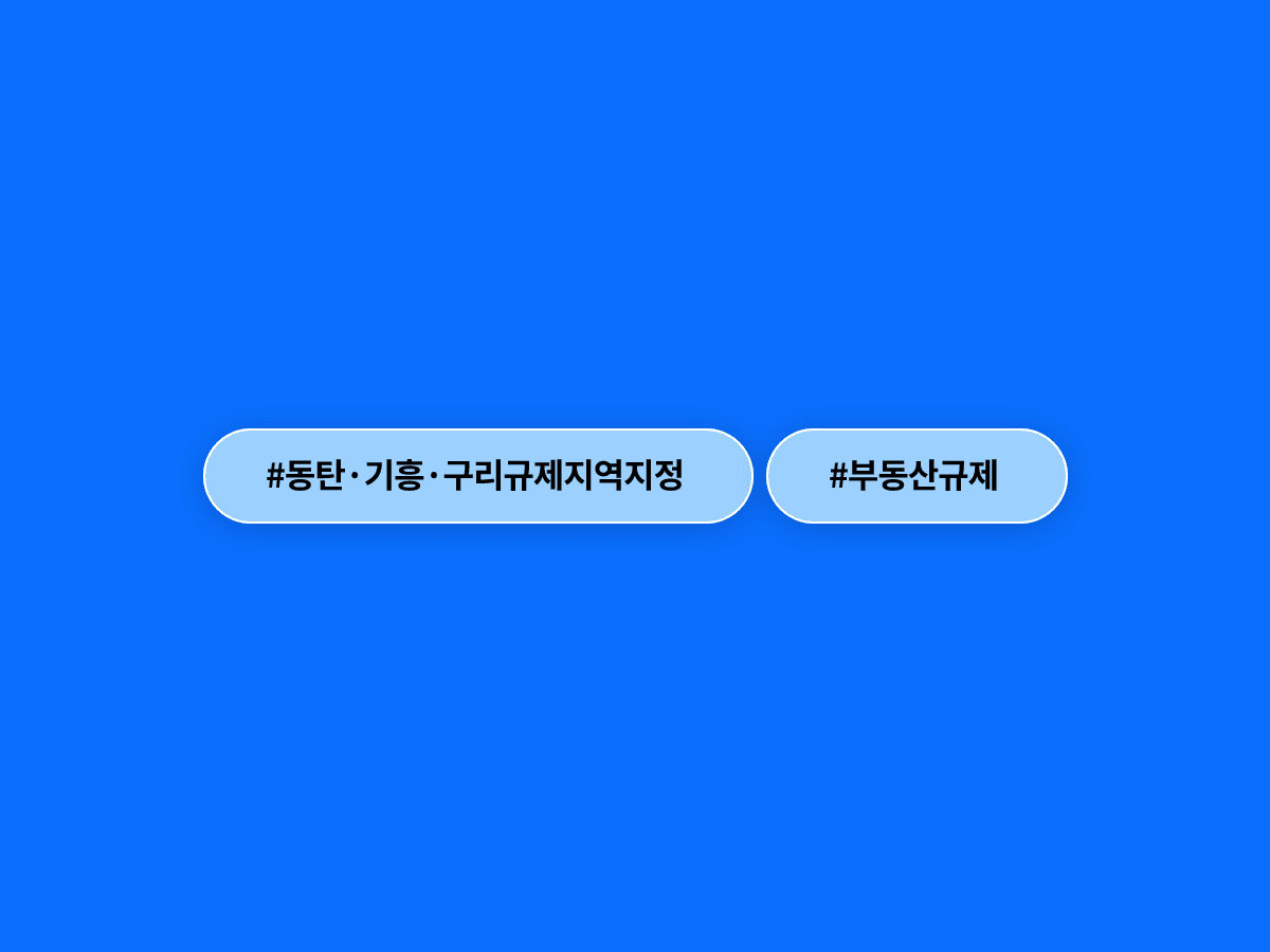 동탄·기흥·구리가 규제지역으로 지정됐어요. 🏘️