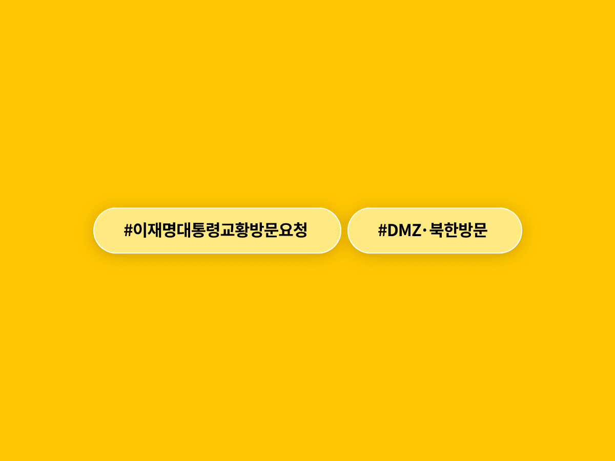 이재명 대통령이 교황에게 DMZ·북한 방문과 내년 서울 방한을 요청했어요. ✝️