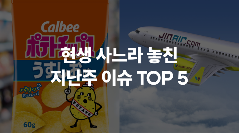 5월 2주차 현생 사느라 못 봤슴 🦔 #경제성장률 #진에어 #분노범죄 #취업 #가루비