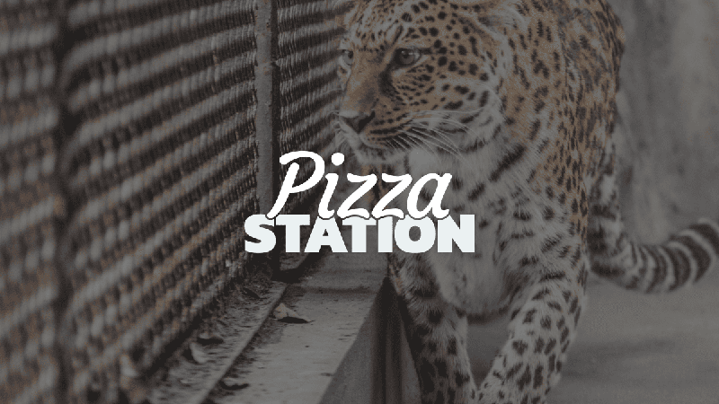 동물원 찬반 논쟁: 동물 위해선 폐지해야 한다? 유지해야 한다? 🦦