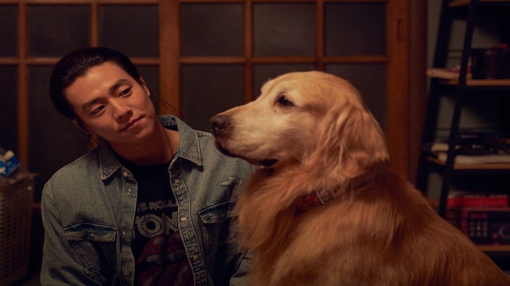 멍멍나라에서 온 우리의 오랜 친구들