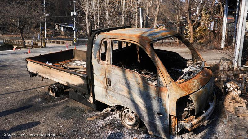 산불 1년 후, 피해 주민 87%가 트라우마 위험군…? ⚠️