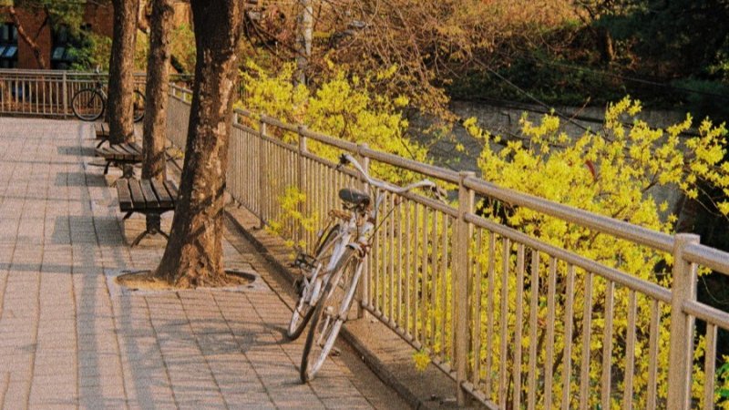 따르릉 따르릉!