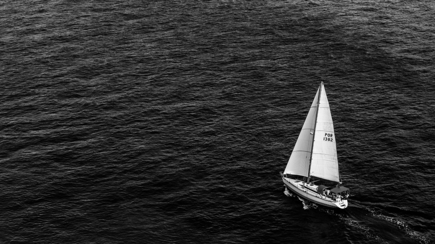 ⛵ 필연적 혼자의 시대를 항해하는 법