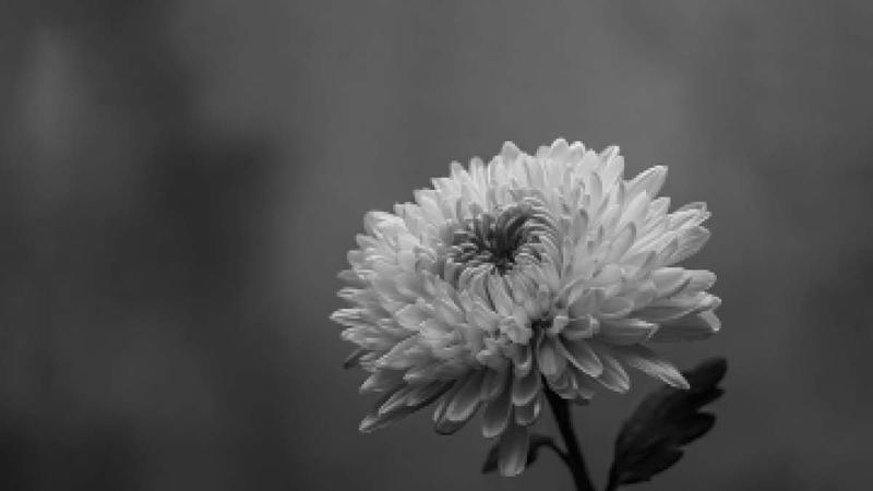 고 김현진 씨 사망과 2차 가해 문제: 성폭력 피해자는 왜 피해 이후에도 고통받아야 하는 걸까? 🎗️