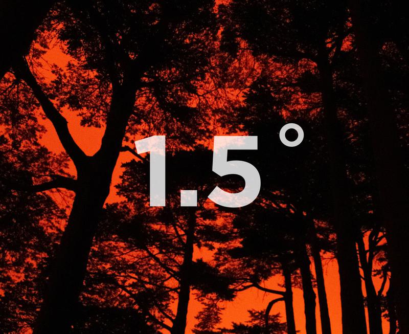 지구 온도 1.5도 상승 불가능? “파리협정 목표 실패” 분석한 유엔 🌏🔥