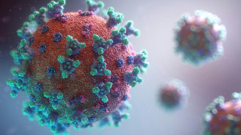 코로나19 재유행, 이제 코로나19는 여름마다 돌아오는 감염병이 됐다? 🦠