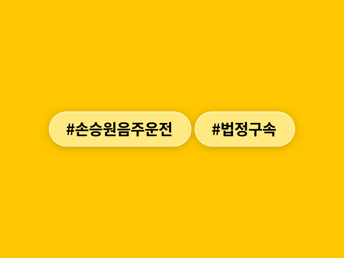 배우 손승원 씨, 5번째 음주운전으로 징역 1년 선고받고 법정구속됐어요. 🚨